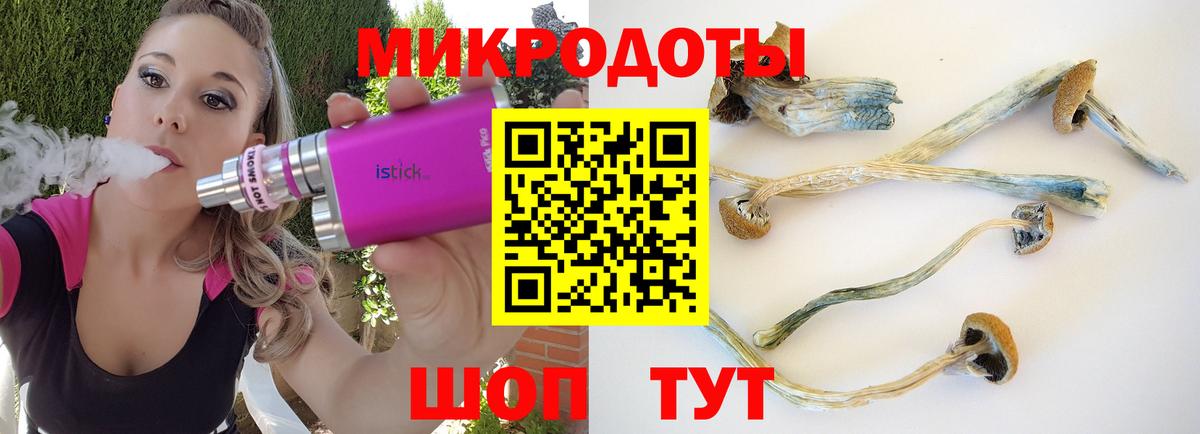 где можно купить наркотик  Псилоцибиновые грибы Psilocybine cubensis  Вход с VPN  Барабинск 